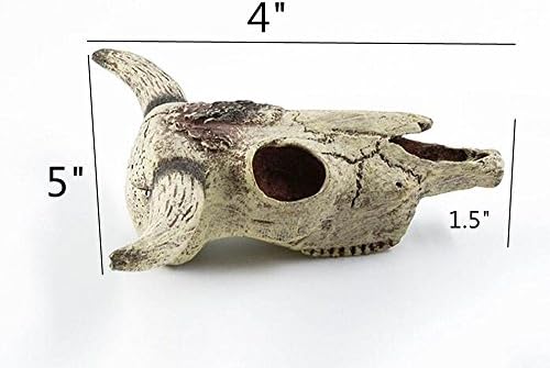 Leoyoubei Aquarium Decoration, Fish Tank Small Skull,Fish Turtle Hidden, Bonsai beautification. Cave Landscape Pet Reptile House Shrimps & Snails Love Them (Cattle Skull)