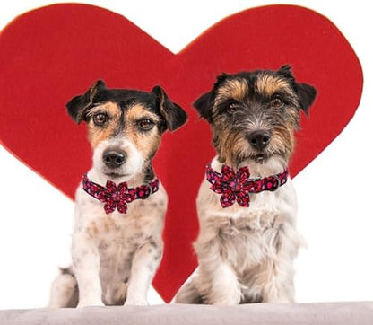 Dog Collar - Valentine's Pet Collar with Flower for Dogs Heart Print Flower Adjustable Puppy Collar Girl Pet Gift Collars for Medium Small Large Dogs
