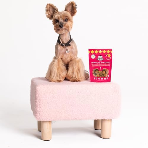 Lord Jameson Tropical Paradise Soft & Chewy Certified Organic Dog Treats for Small Breeds - Watermelon & Fiber-Packed Mango - No-Bake Recipe, Gluten & Preservative-Free - Made In USA - 3 oz