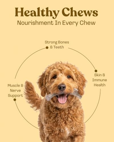 Mountain Valley Deer Antlers for Dogs Organic Chew Whole Dog Antler, Medium
