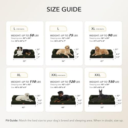 Orthopedic Washable Dog Bed for Medium Dogs, 35x22in, Olive Green