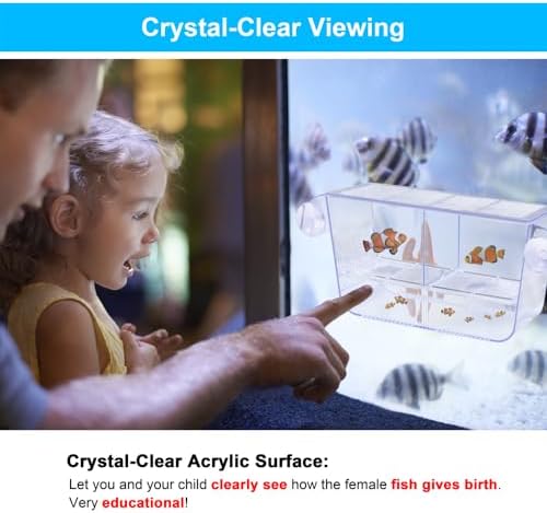 DaToo Fish Breeding Box Aquarium Holding Tank Transparent Fish Isolation Box Acclimation Hatchery Incubator Breeder for Betta Shrimp Clownfish Guppy Large