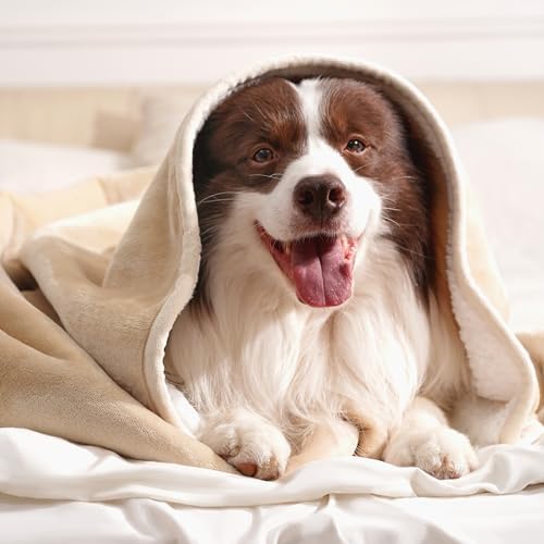 gogobunny Waterproof Blanket for Bed Couch, Sherpa Fleece Throw, 50x60