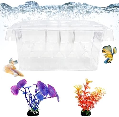 Tfwadmx Fish Breeding Box 4 Rooms HD Aquarium Breeder with Suction Cups