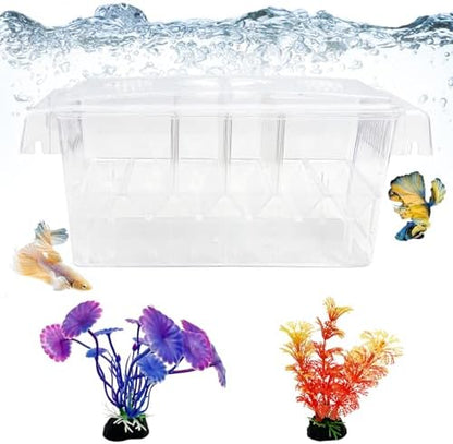 Tfwadmx Fish Breeding Box 4 Rooms HD Aquarium Breeder with Suction Cups