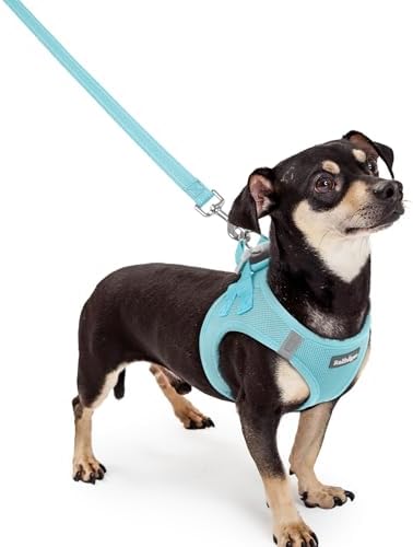 rabbitgoo Dog Harness Small Sized and Leash Set, Step-in Puppy Pet Vest