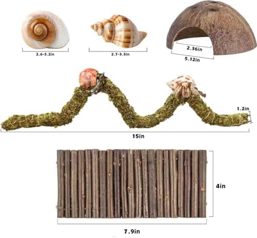 Hermit Crab Accessories, Natural Adjustable Hermit Crab Climbing Toys Bendable Bridge, Coconut Shell Hideout Hut, Plants for Reptiles & Amphibians Supplies (B-Group-9PCS)