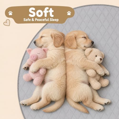 CoolShields Washable Pee Pads for Dogs, 72'' x 72'', Grey, 1 Pack