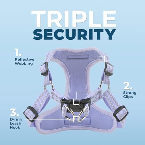 Voyager Step-in Flex Adjustable Dog Harness - Lavender, Small