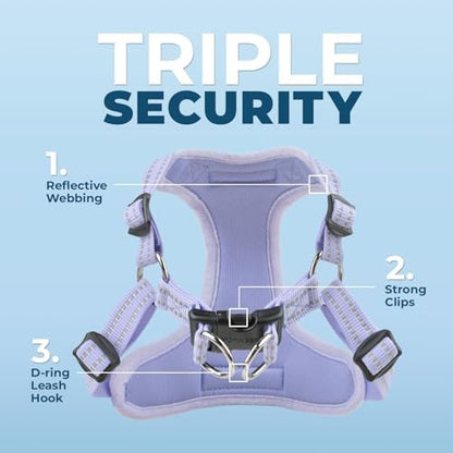 Voyager Step-in Flex Adjustable Dog Harness - Lavender, Small