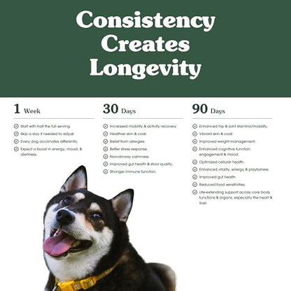 Arterra Longevity Multivitamin for Small Dogs - Vet-Formulated Mini Chews