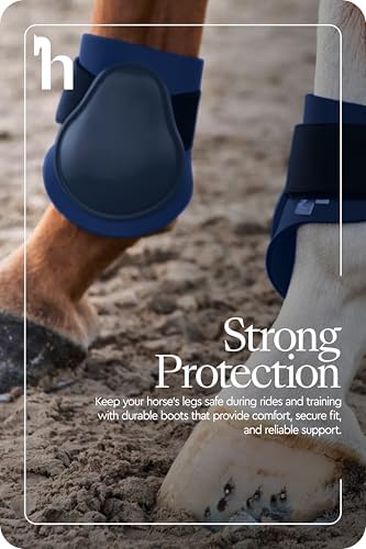 HORZE Chicago Rear Fetlock Boots for Horses, Adjustable Horse Tendon Boots