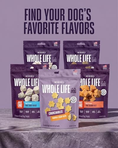 Whole Life Dog – Crunchables Dog Treats for Gut Health & Digestive Support, Constipation Relief, Digestive Health & Immune Support for Sensitive Stomachs, Pumpkin & Yogurt Crunchy Treats