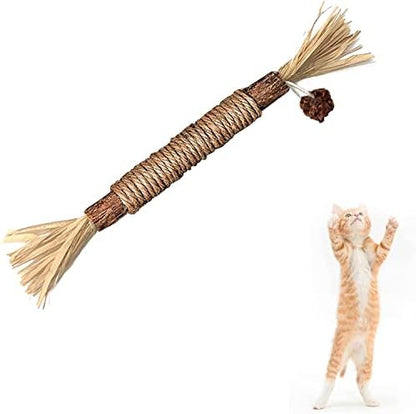 Silvervine Sticks Cat Chew Toys for Indoor Cats Dental Care Teeth Cleaning, Natural Kitten & Cat Teething Toys for Health, Cat Chew Stick Treat Edible Suitable for All Breeds of Aggressive Chewers Cat