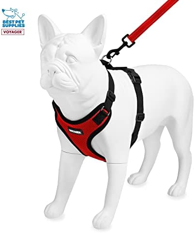 Best Pet Supplies Voyager Step-in Lock Pet Harness w Reflective Pet Leash Combo Set with Neoprene Handle 5ft - Supports Small, Medium and Large Breed Puppies/Cats - Red/Black Trim, XS