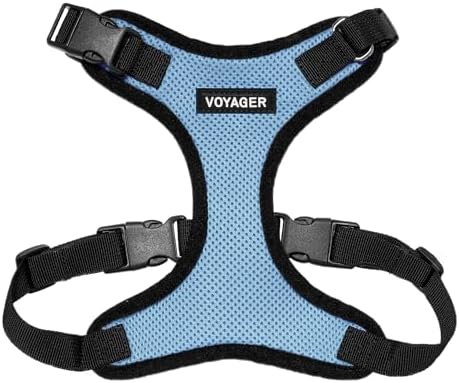 Voyager Step-in Lock Dog Harness - Baby Blue/Black Trim, Medium