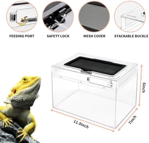 Mini Reptile Terrarium Set,11.8" x 7"x 6" Low Reptile Tank with Full View Visually Appealing，for Insect，Fish，Tarantula，Hermit Crab，Jumping Spider，Iguana，Tortoise，Leopard Gecko，Frog，Bearded Dragon