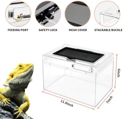 Mini Reptile Terrarium Set,11.8" x 7"x 6" Low Reptile Tank with Full View Visually Appealing，for Insect，Fish，Tarantula，Hermit Crab，Jumping Spider，Iguana，Tortoise，Leopard Gecko，Frog，Bearded Dragon