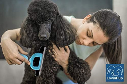 Cat & Dog Brush for Shedding – Deshedding Tools for Pets