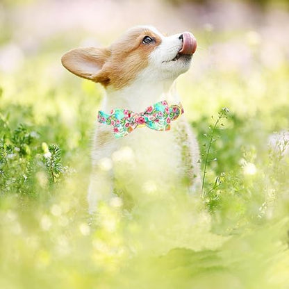 Dog Collar Cute Flowers Print Pet Collar Soft Puppy Collar with Bow Adjustable Metal Buckle Collar Gift for Large Dogs