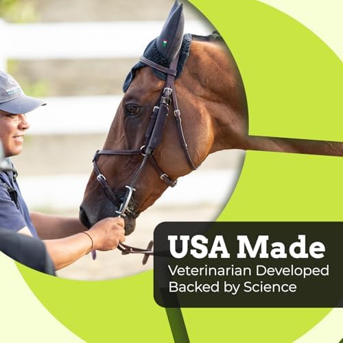 SynChill Horse Calming Supplement Gel, 1 Pack | Composure & Focus