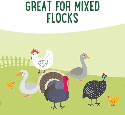 Manna Pro Feather Flair Chicken Treats, Supports Feather Health, 2 lb