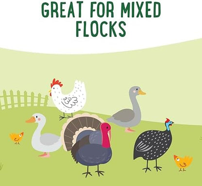 Manna Pro Feather Flair Chicken Treats, Supports Feather Health, 2 lb
