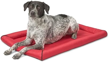 MidWest Homes for Pets Ultra-Rugged MAXX Dog Bed, Water Repellent, Easy Wipe Clean, Super Durable, Fits 36-Inch Dog Crates, Red, Polyester, 22.45"L x 17.33"W x 3"H