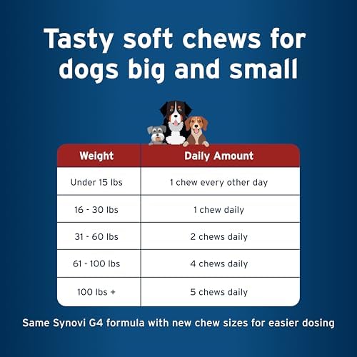 Pet Protect Hip & Joint+ Supplement for Dogs, Chicken Flavor 240ct