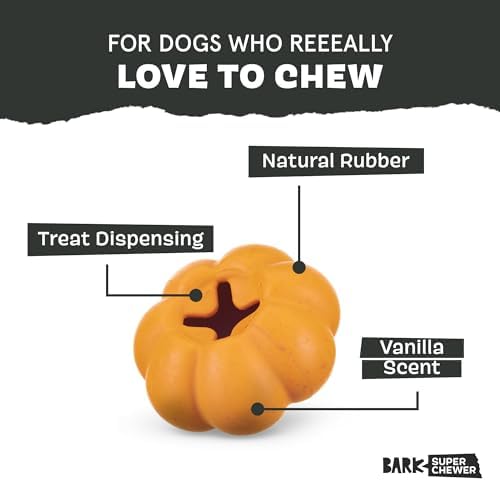 BarkBox Squash Super Chewer - Toy for Small Dogs