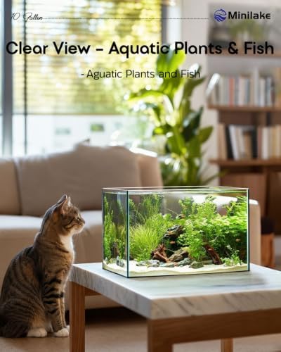 10 Gallon Rimless Glass Fish Tank, Easy to Maintain Small Aquarium