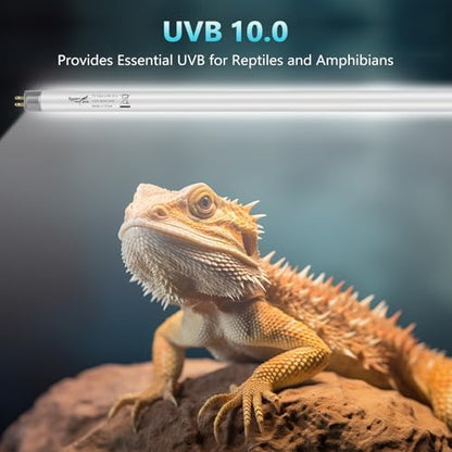 2-Pack UVB Reptile Light 10.0 Bulb 24W T5 Fluorescent Desert Lamp UVA for Bearded Dragon Tortoise Reptile & Amphibian