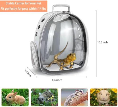 Bearded Dragon Carrier with Harness and Leash Small Pet Carrier