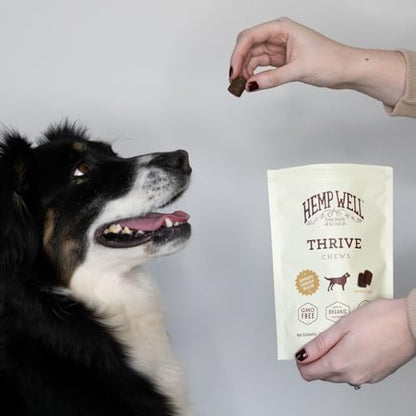Hemp Well Thrive Dog Soft Chews, Skin, Allergy, Coat, Joint & Heart Support