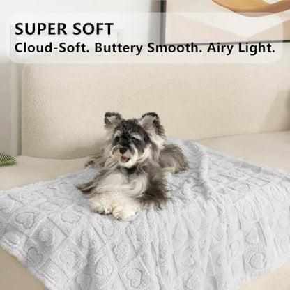 gogobunny Large Pet Blanket for Dogs Cats, Ultra Soft 300GSM Coral Fleece Washable Furniture Protector for Couch Bed Car Seat, Calming Crate Mat Blanket for Large Breeds, Light Grey, 60x80IN