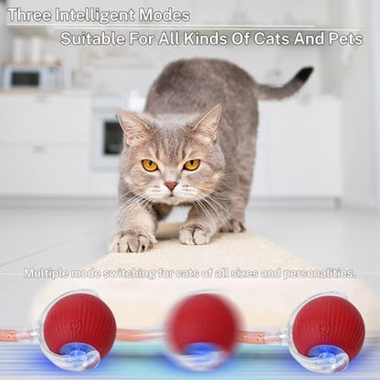 Smart Cat Ball Toy, Interactive & Rechargeable for Daily Play