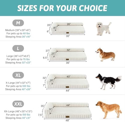 COZY KISS Faux Rabbit Fur Medium Dog Bed – 36"x27" Orthopedic Foam Couch with Sides, Removable Washable Cover & Waterproof Lining, Cream