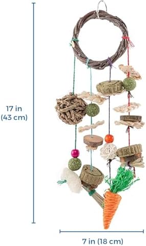 SunGrow Cage Hanging Rabbit Chew Toy, Handwoven Space-Saving Enclosure Accessory, Wooden Discs, Loofah Slices, Grass Ball & Compressed Hay, for Bunnies, Guinea Pigs, and Chinchillas, 17” x 7”, 1 Set 