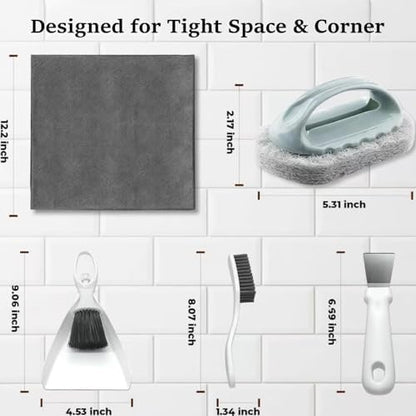 Bearded Dragon Tank Cleaning Kit, Reptile Enclosure Cleaning Set with Mini Dustpan, Brush, Scraper & Cleaning Cloth, Small Reptile Cleaning Accessories for Lizard, Gecko, Hedgehog Glass Terrarium