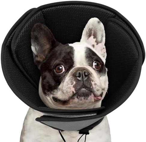 Queenmore Soft Dog Cone Collar, Comfortable Cones for Small Dogs/Cat