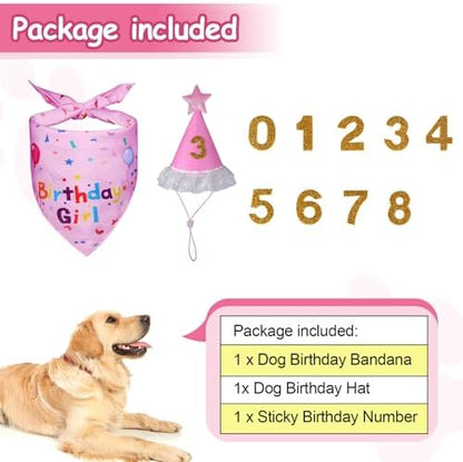 Dog Girl Birthday Party Hat, Dog Birthday Party Supplies