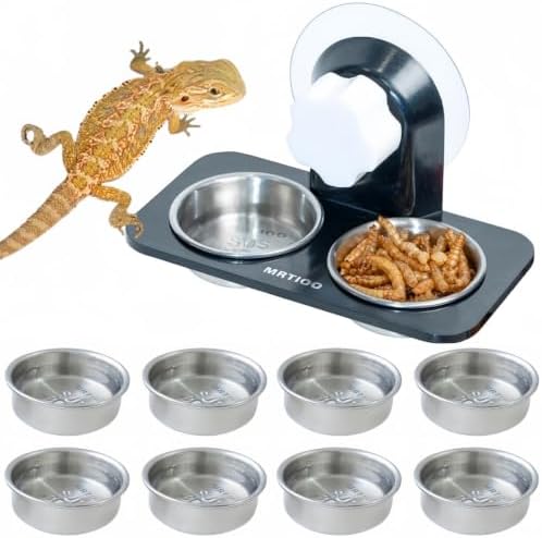Lizard Gecko Feeding Ledge Holder, with 0.5oz Stainless Steel 10Cups