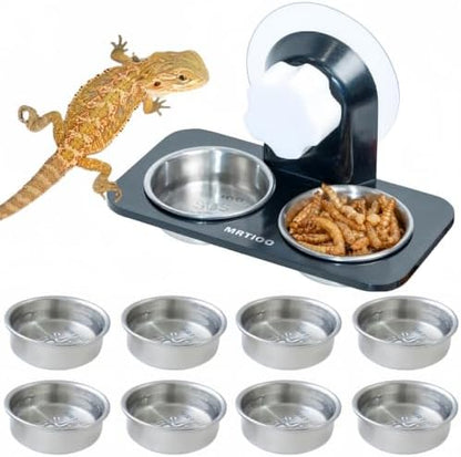 Lizard Gecko Feeding Ledge Holder, with 0.5oz Stainless Steel 10Cups