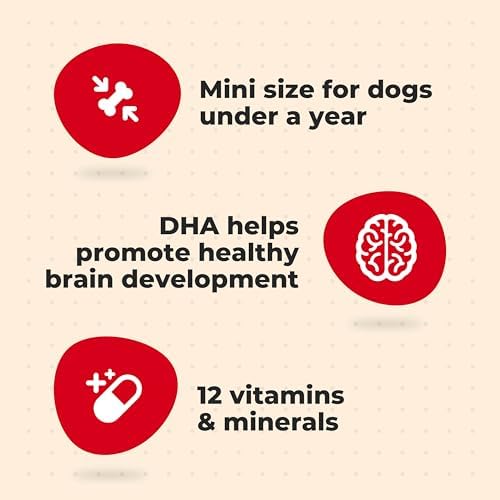 Milk-Bone Original Biscuits Dog Treats for Puppies, 6 Boxes
