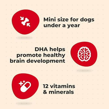 Milk-Bone Original Biscuits Dog Treats for Puppies, 6 Boxes