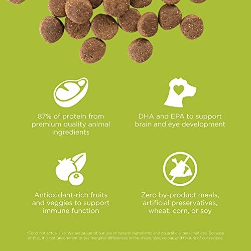 Go! Solutions Carnivore Chicken, Turkey + Duck Grain-Free Dry Puppy Food, Our Highest-Protein Kibble Made with Real Meat & Fish, Pumpkin & Probiotics for Good Digestion, 3.5 lb Bag