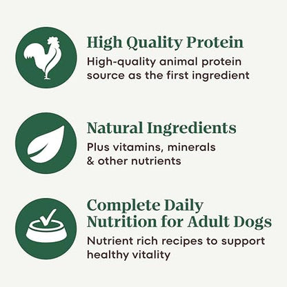 Nutro Hearty Stew Wet Dog Food, Chicken & Beef Pack, 12.5 oz, 12 Pack