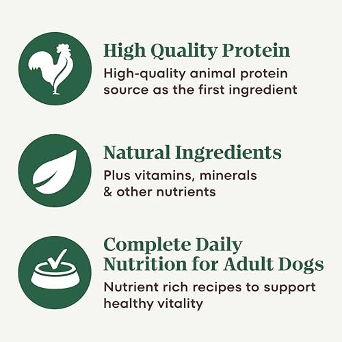 Nutro Hearty Stew Wet Dog Food, Chunky Beef, 12.5 oz, 12 Pack