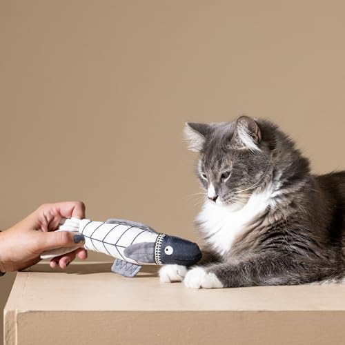Fringe Studio Something's Fishy Earth Friendly Kicker Cat Toys, PetShop Collection (693011)