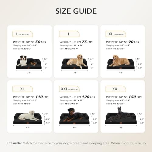 Orthopedic Washable Dog Bed for Extra Large Dogs, 53x42in, Black